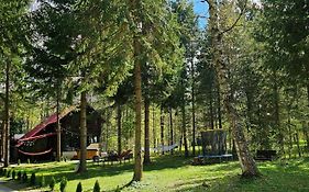 Misha'S House